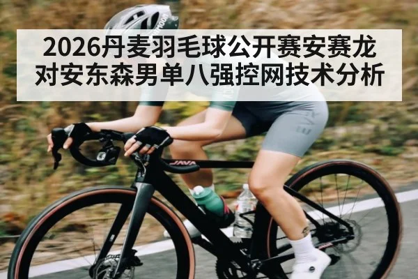 2026丹麦羽毛球公开赛安赛龙对安东森男单八强控网技术分析