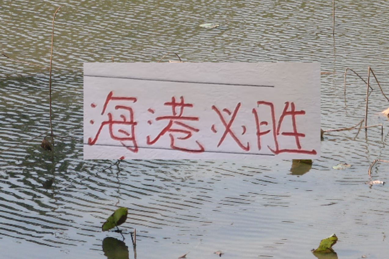 北单官网-申花两场热身赛都没有赢 ，还就看新阵容海港能否热身起飞了